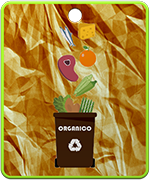 Organico
